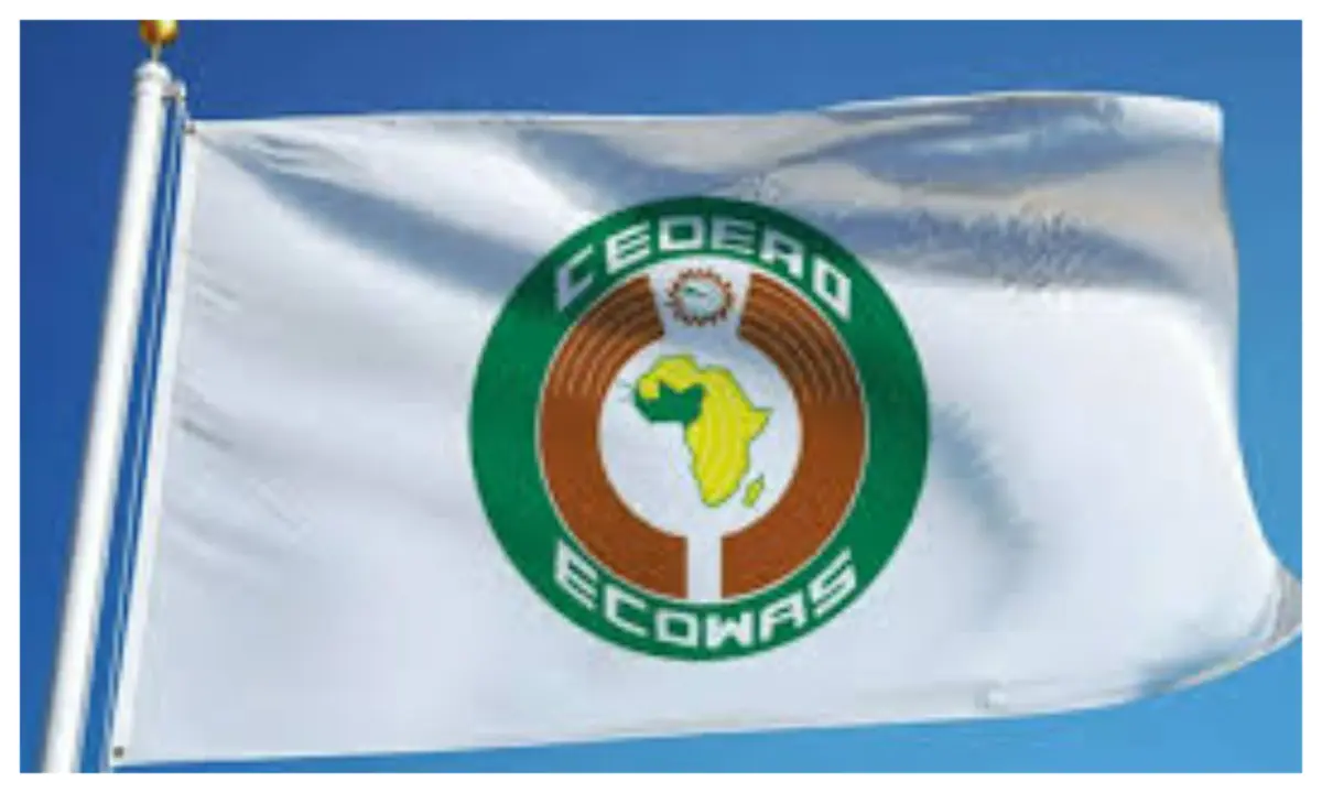 ECOWAS pre-election mission kicks off activities for 2025 presidential election