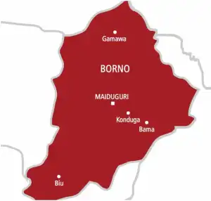 6 killed, 15 injured as woman detonates bomb in Borno