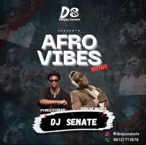 DJ Senate Ft. Pyrex Kyddah – Afro Vibes Mix