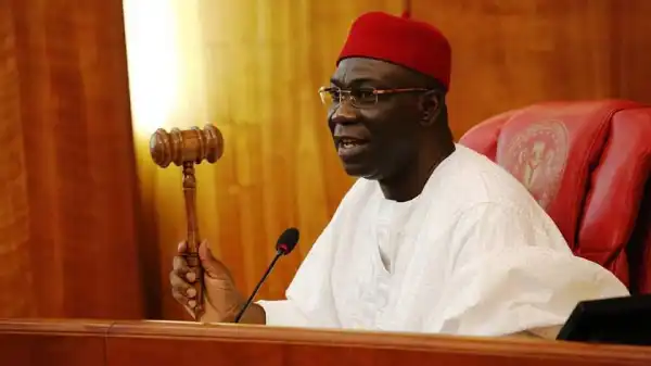 Femi Fani-kayode: Senator Ekweremadu And An Evil Soul Called David