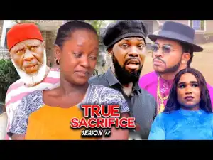 True Sacrifice Season 12