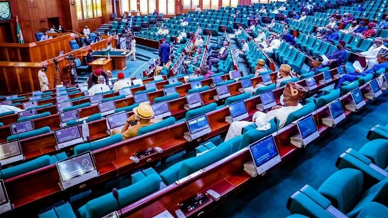 10th NASS speakership: Kaduna member-elect makes case for Gagdi