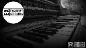 Tremaine De Conga – Transmission