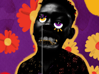 Sipho the Gift – Pink Skies