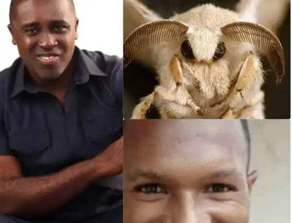 He Looks Like An Arthropod - Frank Edoho Mocks Twitter Influencer Daniel Regha