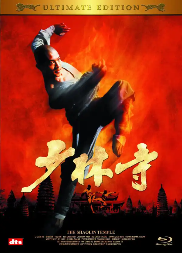 Shaolin Temple (1982) [Chinese]