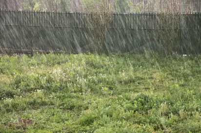 2023 Elections: Heavy downpour disrupts election in Edo