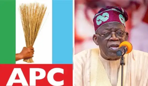 2027: Ex-Presidential candidate reveals only way coalition can defeat Tinubu, APC