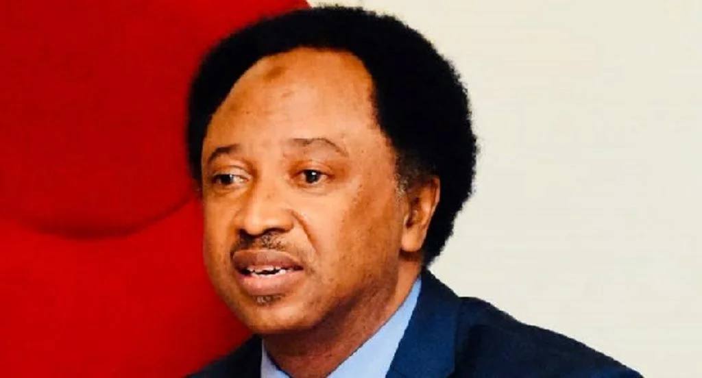 PDP rally: Sponsored thugs came to Kaduna in four trucks with weapons – Shehu Sani