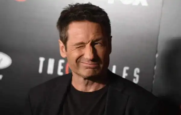 Career & Net Worth Of David Duchovny
