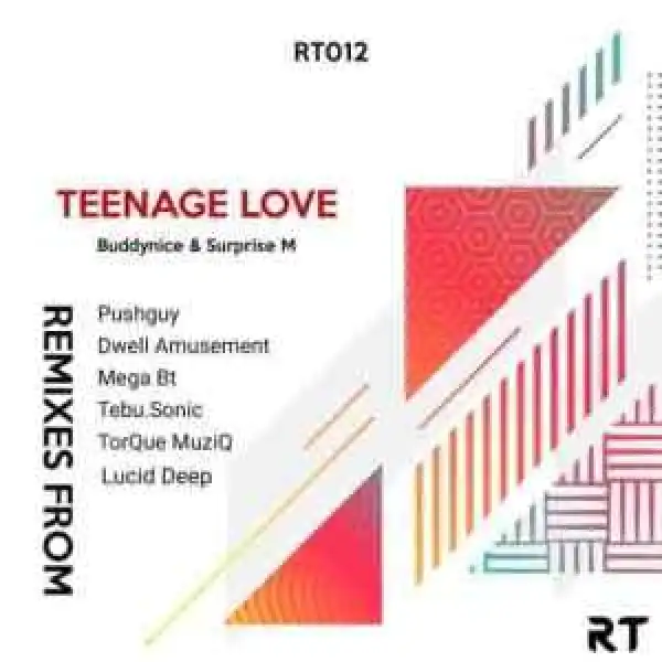 Buddynice & Surprise M – Teenage Love (Remixes) EP
