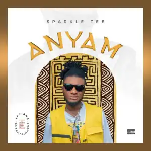 Sparkle Tee – Anyam