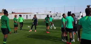 FIFA Ranking: Super Falcons maintain 36th position