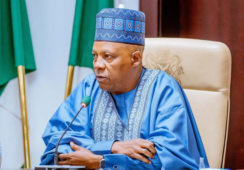 2027: Replacing Shettima will jeopardize Tinubu’s reelection – APC chieftain warns