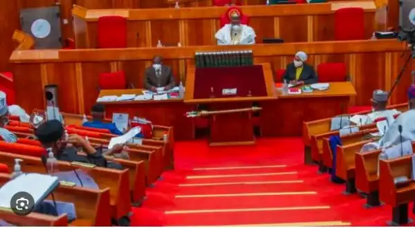 Review concession of Kano, Abuja airports, Senate tells FG