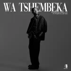 Cooper SA & Small S.P – Wa Tshembeka ft. Tyler ICU & Jay Sax