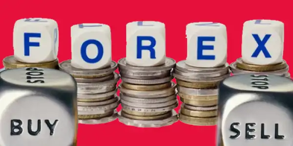 NAIRA REDESIGN: Cash crunch may worsen forex shortage — FITCH