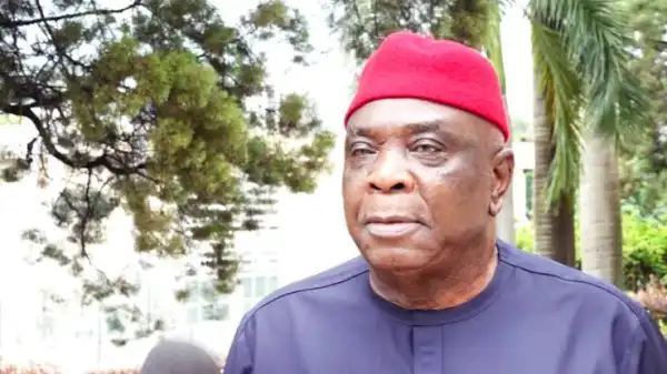 2027: Only political fools take Tinubu for granted, Peter Obi can face him – Ulasi