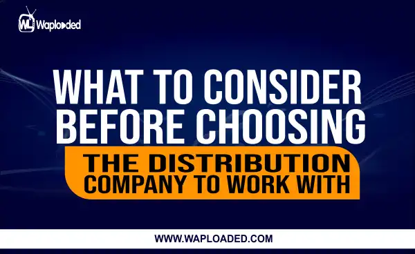 What To Consider Before Choosing The Distribution Company To Work With