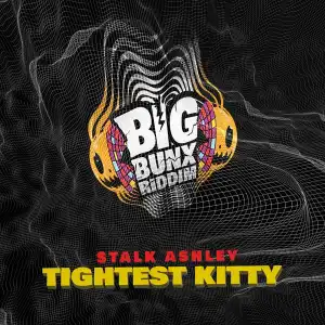 Stalk Ashley – Tightest Kitty