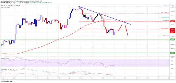 Why Bitcoin Price Is Signaling More Downsides Below $47K