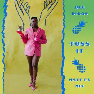 Dee Diggs – Toss It (Matt FX Glitz n Glam Mix)