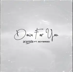 Aramide – Down For You ft. Boybreed