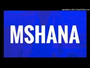 Reece Madlisa, Zuma, Busta 929 & Abidoza – MSHANA