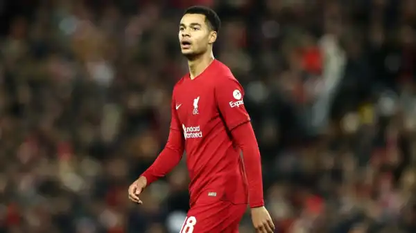 Cody Gakpo offers cautious introduction to life at Liverpool in Wolves win