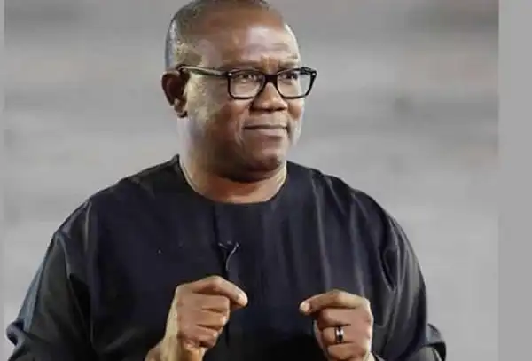 Why Nigeria Needs Parliamentary System Of Govt – Peter Obi