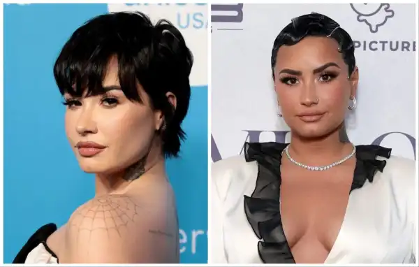 Age & Net Worth Of Demi Lovato