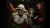 Shallipopi, Burna Boy - Laho II (Video)