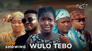Wulo Tebo (2024 Yoruba Movie)