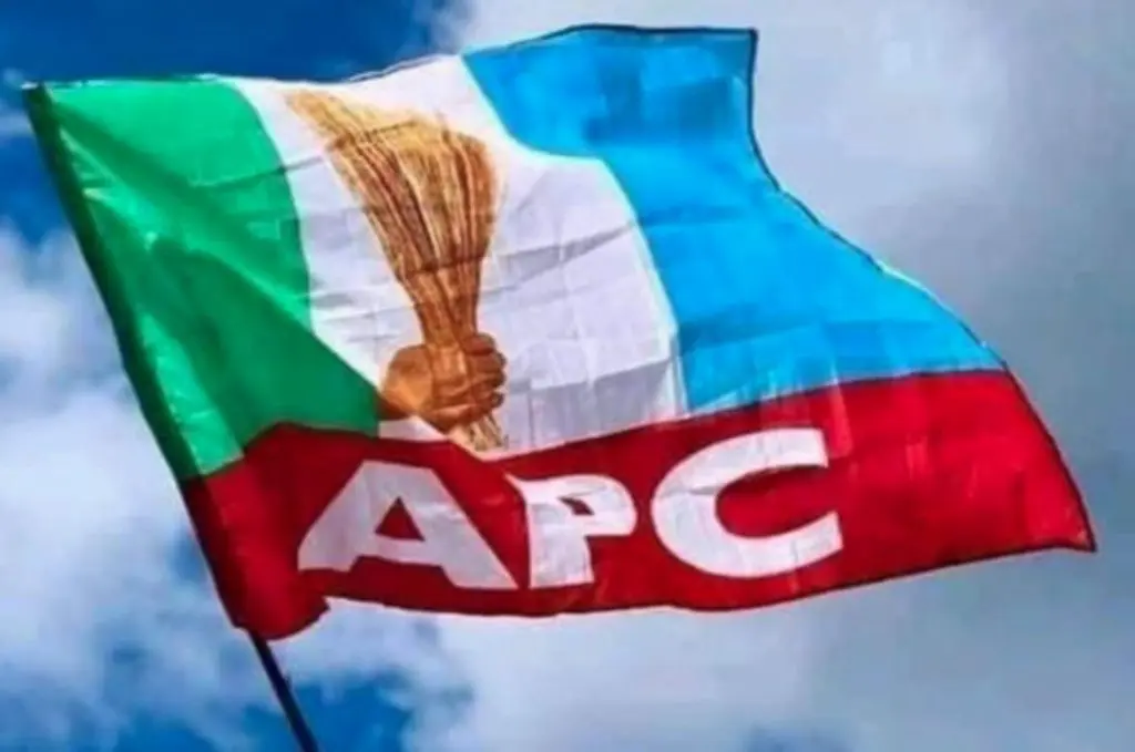 Kaduna LG poll: Work for people — APC tasks new chairmen, councillors