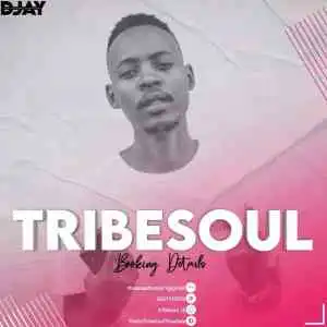 TribeSoul & Bido Vega – Nkulee