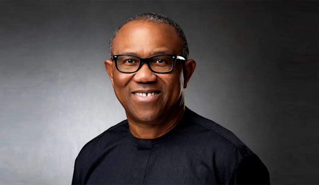 Pdp, Apc, Apga Leaders In Peter Obi’s Lg Defect To Labour Party