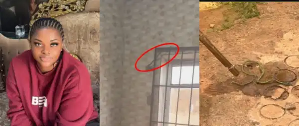 Actress, Kelly Kosisochukwu Stunned After Spotting Snake In Her Kitchen