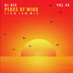 DJ Ace – Peace of Mind Vol 48 (Slow Jam Mix)