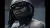 Gunna - just say dat (Video)
