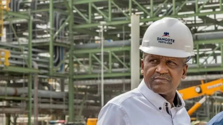 Oil crisis: Deji Adeyanju’s civil society wades into sack of 800 workers by Dangote