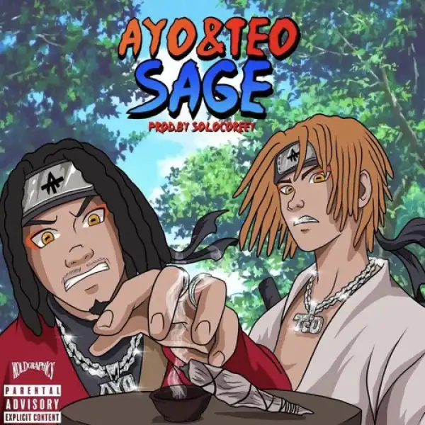 Ayo & Teo – SAGE (Instrumental)