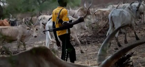 Panic As Suspected Herders Kill IDPs Three In Benue