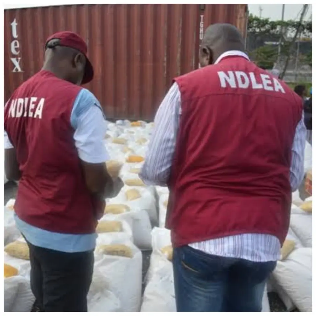 Drug Abuse: NDLEA nabs 360 suspects, prosecutes 197 in Anambra