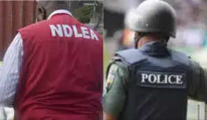 NDLEA, police clash in Bayelsa over suspected female drug dealer