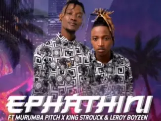Megadrumz – Ephathini ft. Murumba Pitch, King Strouck & Leroy Boyzen