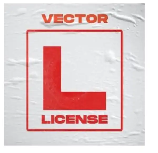 Vector – License