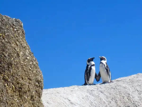 10 Qualities to Look for in a Healthy Relationship
