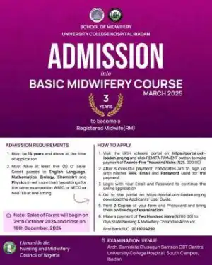 UCH Ibadan announces admission into Basic Midwifery course - March 2025