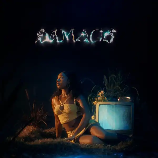 Sarina – Damage