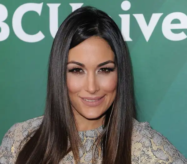 Age & Career Of Brie Bella